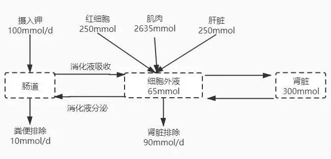 7.webp