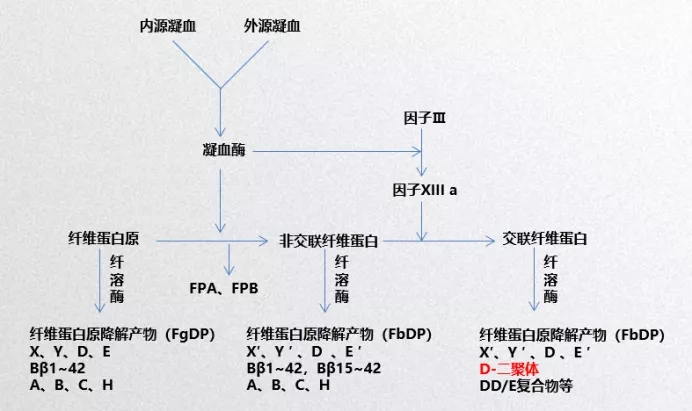 2.webp_fhqGuC 2.webp_fhqGuC