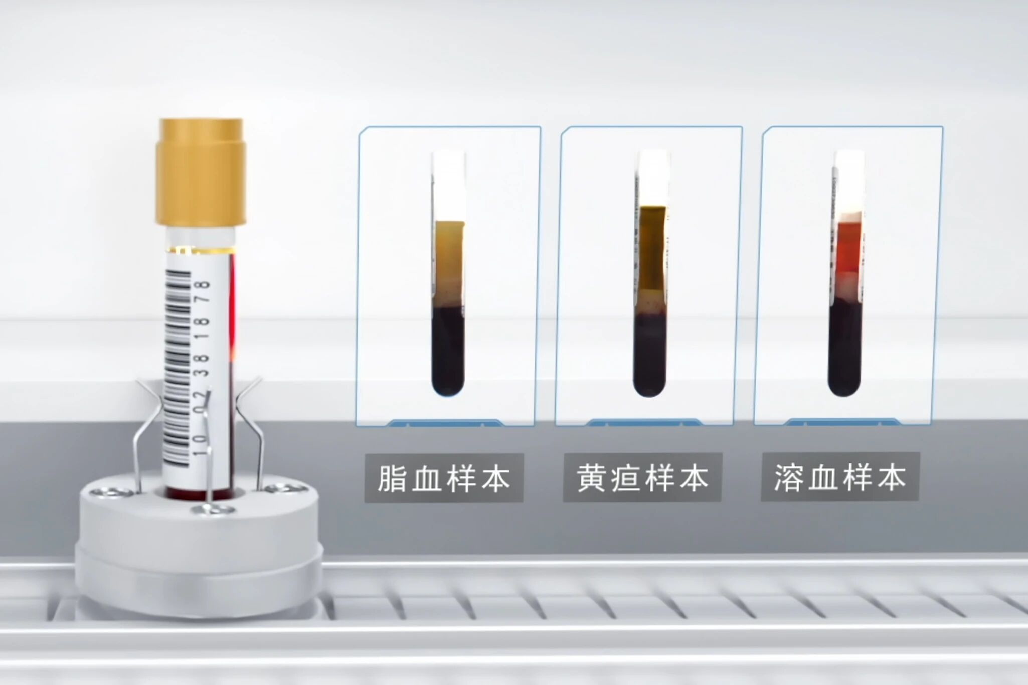 尊时凯龙Z6(中国区)人生就是拼搏!