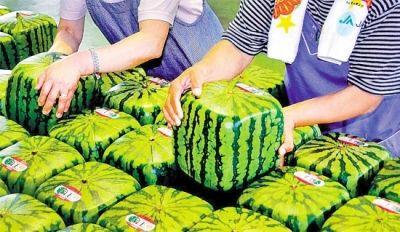 尊时凯龙Z6(中国区)人生就是拼搏!